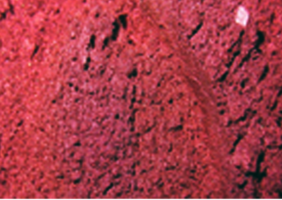 Пигмент косметический сухой, вишневый, Франция, 2 г
