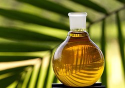 Пальмовое масло, рафинированное, 100 г