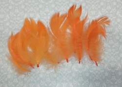 Набор перьев, оранжевые, 10 шт