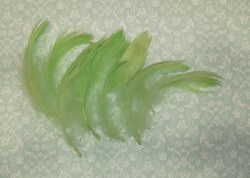 Набор перьев, зеленые, 10 шт