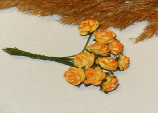 Роза, морковная, 2 см