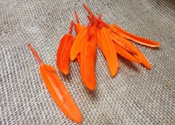Перо HJ-006, оранжевое, 14 см, 1 шт