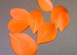 Перо HJ-007, оранжевое, 6 см, 1 шт