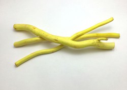 Корилус, желтый, 30 см