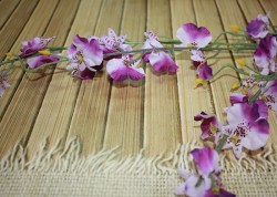 Орхидея мелкая, ветка, фиолетовая