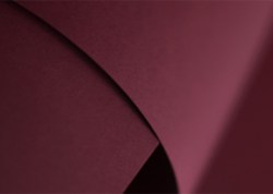Дизайнерский картон Nettuno Bordeaux, A4+