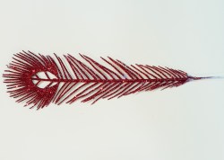 Перо павлина, красное, 35 см