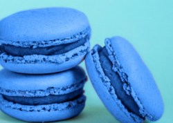 sweet-almond-macaron-or-macaroon-dessert-cake-colored-in-trendy-color-of-year-2020-classic-blue-isolated-on-blue-pastel-background-macro-using-color-copyspace_80942-541